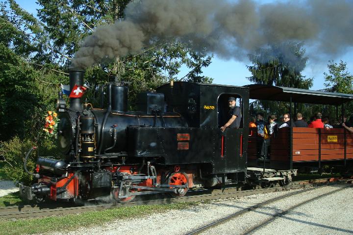 SchBB Dampflokomotive  Pinus  2008 (Quelle Wikipedia, Bild commons.limousin, CC BY-SA 3.0)