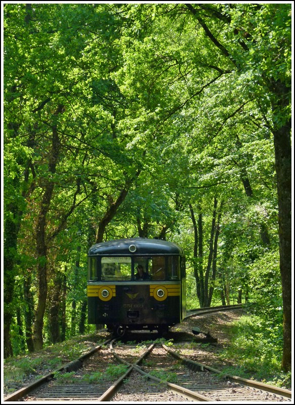 - Ein Uerdinger im Wald - Der Triebwagen 551 669 (ex Chemin de Fer des 3 Vall�es, ex DB VT95 669) erreicht am 01.05.2011 die Kreuzungsstelle Fuussb�sch der Museumsstrecke Train 1900. (Jeanny)