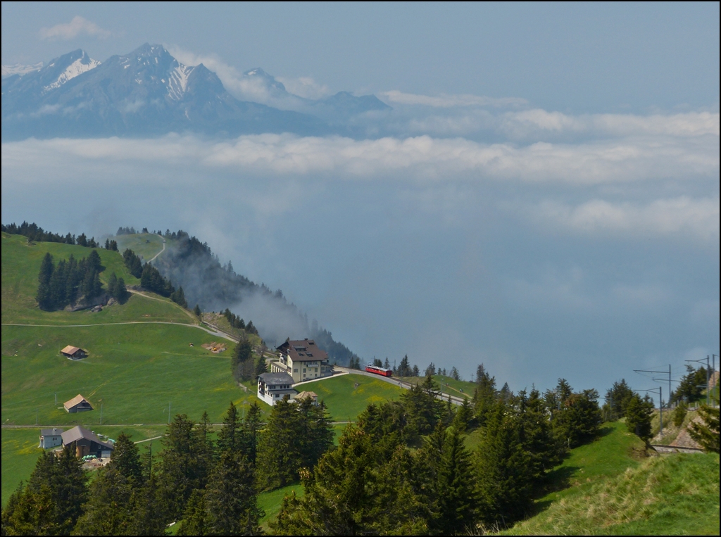 . Nur der Pilatus schaut raus - Am 24.05.2012 lag der Vierwaldst�ttersee unter einer geschlossenen Wolkendecke, als eine Rigibahn die Haltestelle Rigi Staffel soeben verlassen hatte und den Abstieg nach Vitznau in Angriff nahm. (Jeanny) 