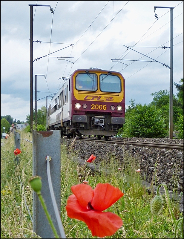 . Weniger Klatschmohn, daf�r mehr Linse - Die Durchfahrt des Z 2006 am 15.06.2013 in der N�he von Mersch erm�glichte mir nicht nur die sch�nen Blumen mit aufs Bild zu nehmen, sondern auch noch einen Bahnfotografen mitsamt seiner Aissitentin. ;-)
(Jeanny) 