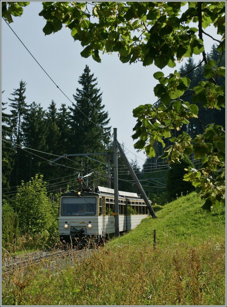 Der Rochers de Naye Beh 4/8 305 kommt erreicht als Regionalzug 3360 in K�rze die Haltestelle Cr�t-y-Bau.
3. Aug. 2013