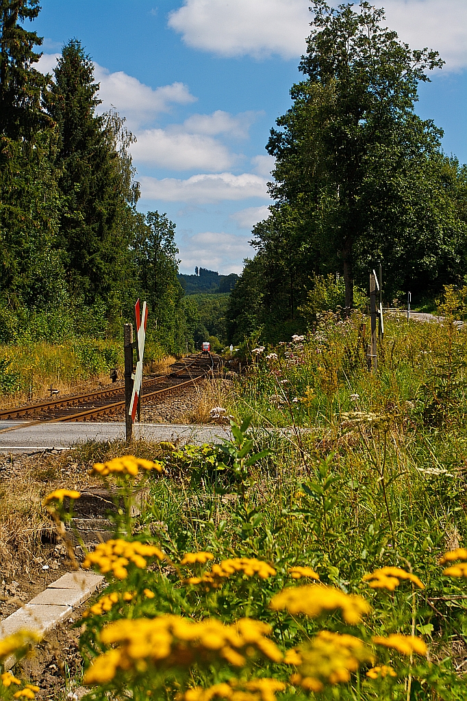 Ein Blick auf die Rothaarbahn KBS 443 am 11.08.2012 einem unbeschrankten Bahn�bergang in Kreutztal-Ferndorf, ganz hinten kommt ein LINT 27 (640 008) aus Bad Berleburg �ber Erntebr�ck und Hilchenbach.