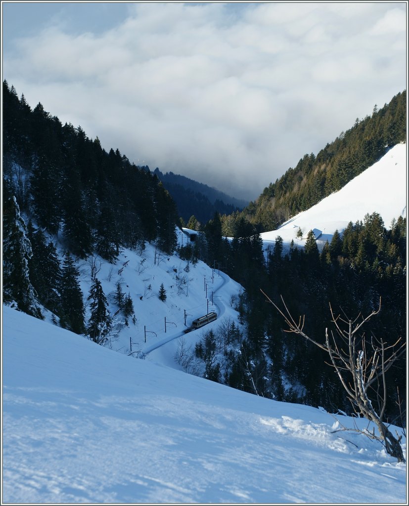 Ein nicht sehr schwieriges  Such den Zug  Bild.
Die Aufnahme entstand (12.01.2012) in der N�he der Station  Jaman  der Zug selbst hat noch etliche H�henmeter zu bew�ltigen, bis er bei uns ist.
