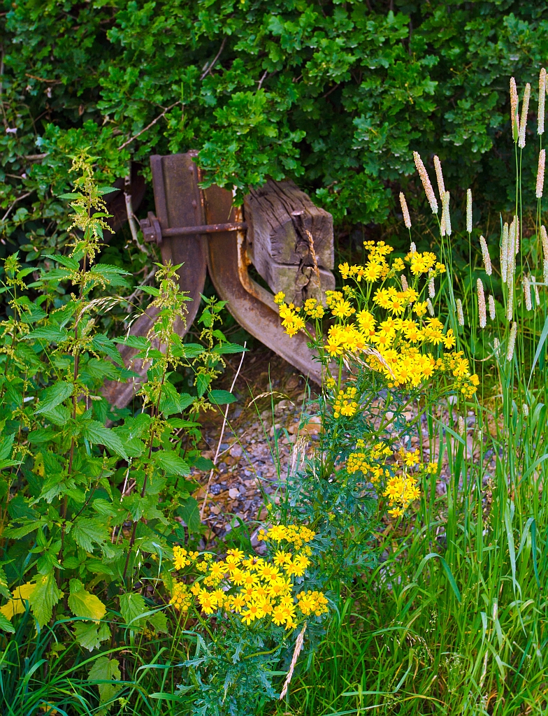 Ganz versteckt - Von diesem alte Prellbock schaut nur noch der obere Teil heraus. Da alte Abstellgleis ist zugesch�ttet, hier am 06.07.2012 beim Bahnhof Rudersdorf (Kr. Siegen) an der KBS 445.