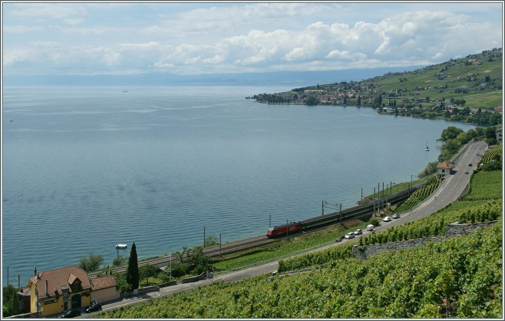 Lavaux ist nicht nur St-Saphorin, sondern viel mehr...
Re 460 mit einem IR nach Brig bei Epesses am 15. Juni 2011.