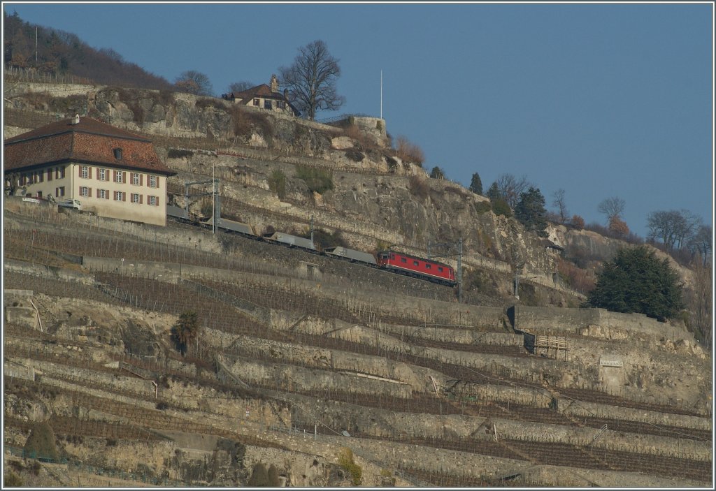 Leider nicht ganz perfekt, da �berraschend gekommen, konnte ich am 1. M�rz 2012 eine der seltenen G�terz�ge auf der  Train des Vignes  Strecke fotografieren.
