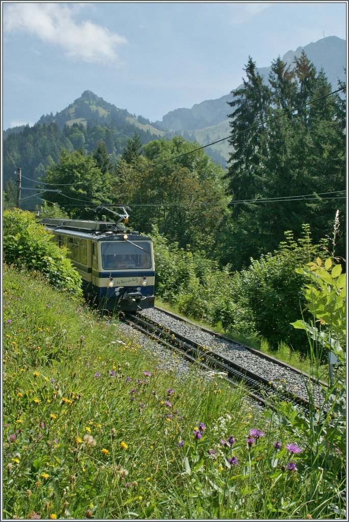 Nicht viel Zug, daf�r mehr Sommer zeigt diese Rochers de Naye Bahn Bild.
Oberhalb von Caux, den 14. August 2012