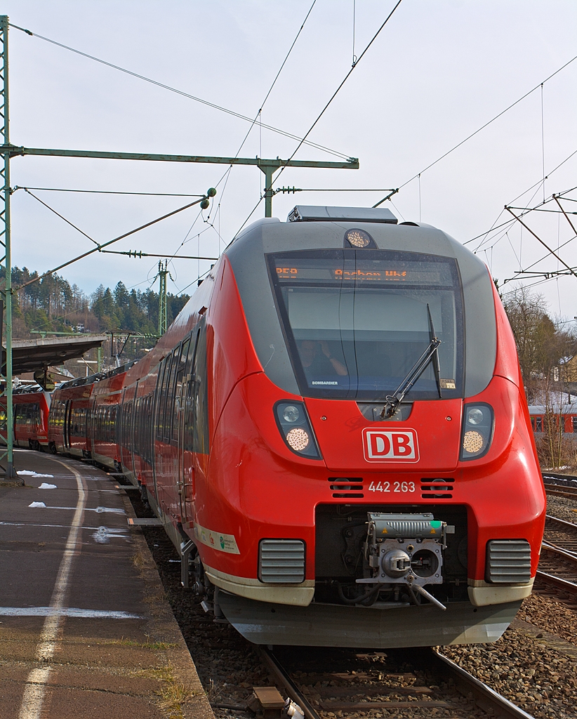Noch sind die Trittstufen ausgeklappt, gleich geht die Reise der zwei gekuppelten vierteiligen Bombardier Talent 2 - 442 263 / 763 und 442 261 / 761 als RE 9 - rsx – Rhein-Sieg-Express (Siegen Hbf - K�ln Hbf - Aachen Hbf) am 16.03.2013 von Betzdorf/Sieg schon gut gef�llt, weiter in Richtung K�ln.  In K�ln war wohl ein Fu�ball Spitzenspiel.

Vor fast genau einem Jahr habe ich meinen ersten Hamster ablichten k�nnen, mittlerweile ist es hier eine Hamsterplage. So schnell �nder sich die Zeiten.
