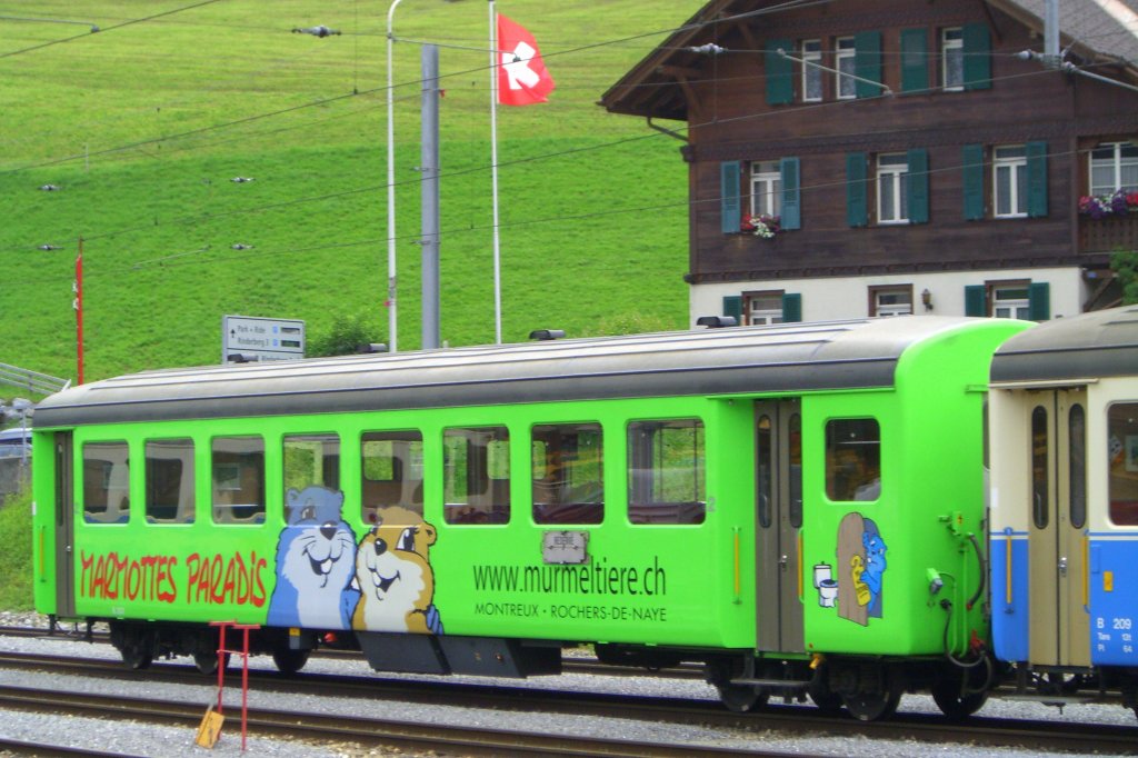 Personenwagen der MOB in Zweisimmen mit Werbung auf der Seitenfl�che. (03.08.2007)