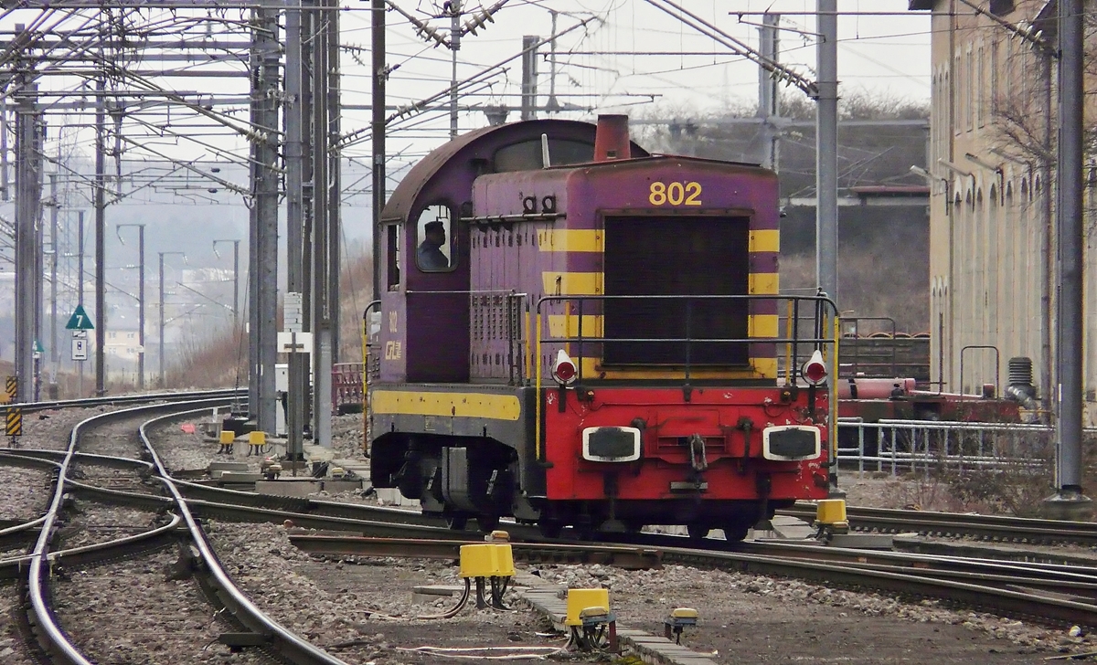 . Aus dem Archiv - Die Diesellok 802 druchf�hrt am 24.02.2009 den Bahnhof von P�tange. Das war das letzte Mal, dass wir den Einsatz einer 800er erlebt und fotografiert haben. (Jeanny) 