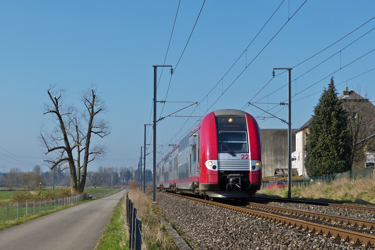 . Der Schock sitzt tief, als wir heute den sch�nen alten Baum an der Bahnstrecke zwischen Lintgen und Mersch sahen. Er wurde fast aller seiner �ste beraubt, die nun als einen Haufen Abfall daneben liegen. Wir gut, haben sie wenigstens die Oma Bank nicht auch noch verst�mmelt. 

Die Computermaus Z 2222 f�hrt als RB 3239 Wiltz - Luxembourg in der N�he von Rollingen an dem einstigen Prachtst�ck von einem Baum vorbei. 11.03.2014 (Jeanny)