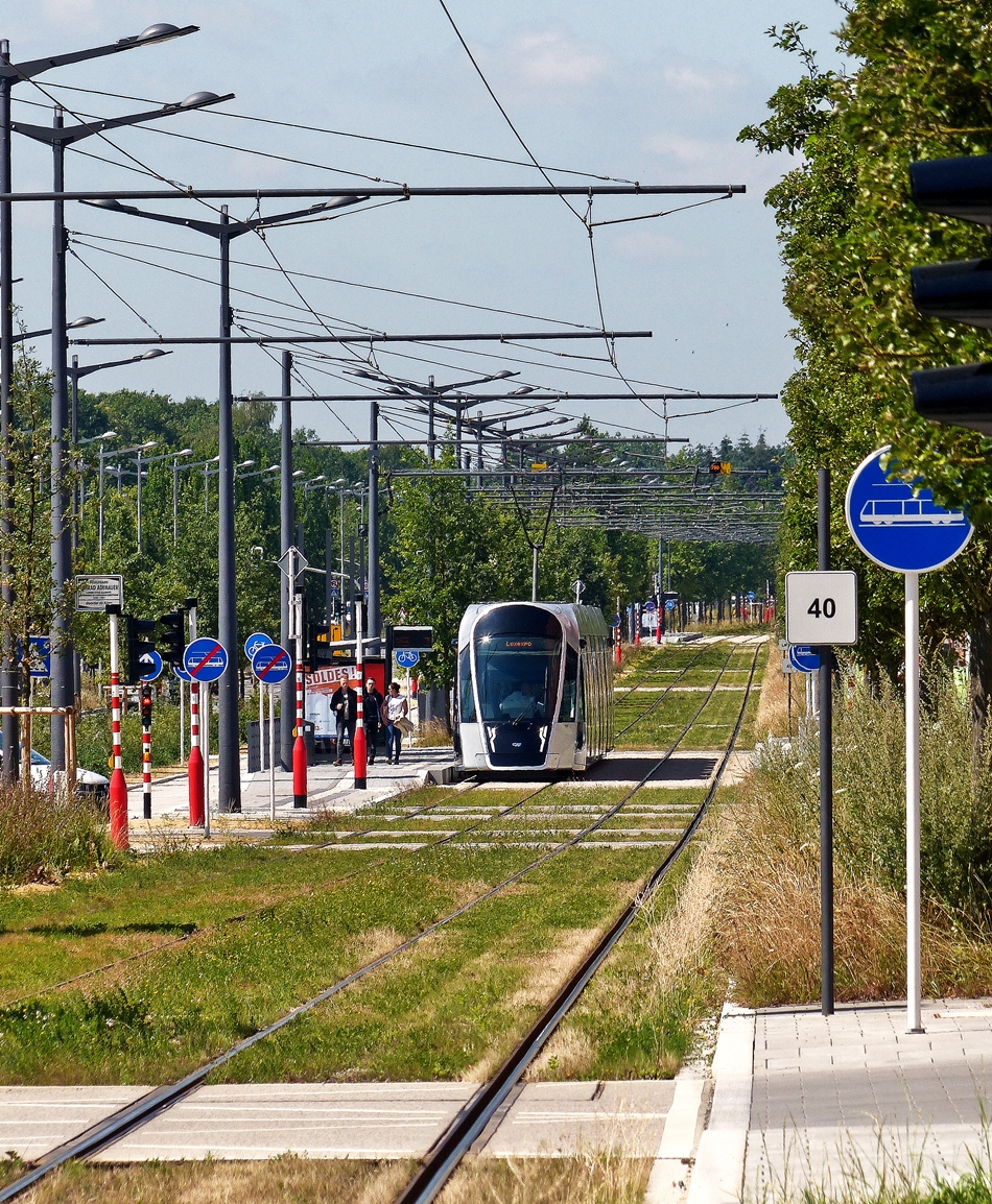. Die Wildnis in Luxembourg-Kirchberg - Leider hat man vergessen die im letzten Herbst angelegte All�e f�r das Stra�enbahn Gleisbett zu pflegen, sodass sich der LUXTRAM S.A. Wagen durch eine Wildnis aus Unkraut unweit der Haltestelle Universit�it k�mpfen mu�. 06.07.2018 (Jeanny)