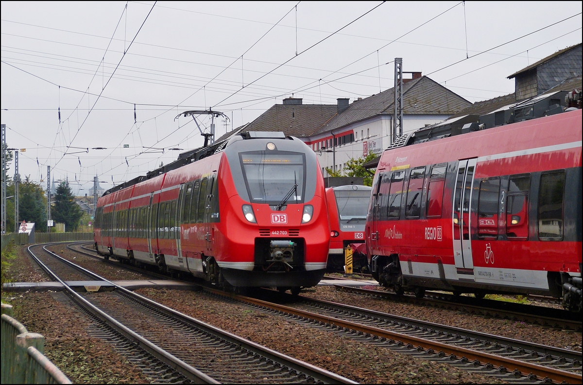 . Ein Hamster (442 703) f�hrt am 05.10.2013 in der N�he des BW Trier an abgestellten Z�gen vorbei. (Hans)