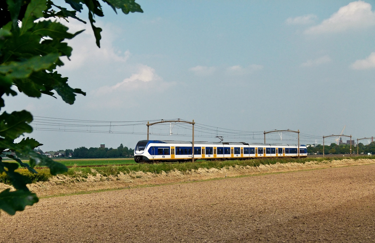 . Ein sechsteilitger NS SLT (Sprinter Lighttrain) f�hrt am 03.08.2011 durch die sch�ne niederl�ndische Landschaft zwischen Zevenbergen und Oudenbosch. (Jeanny)