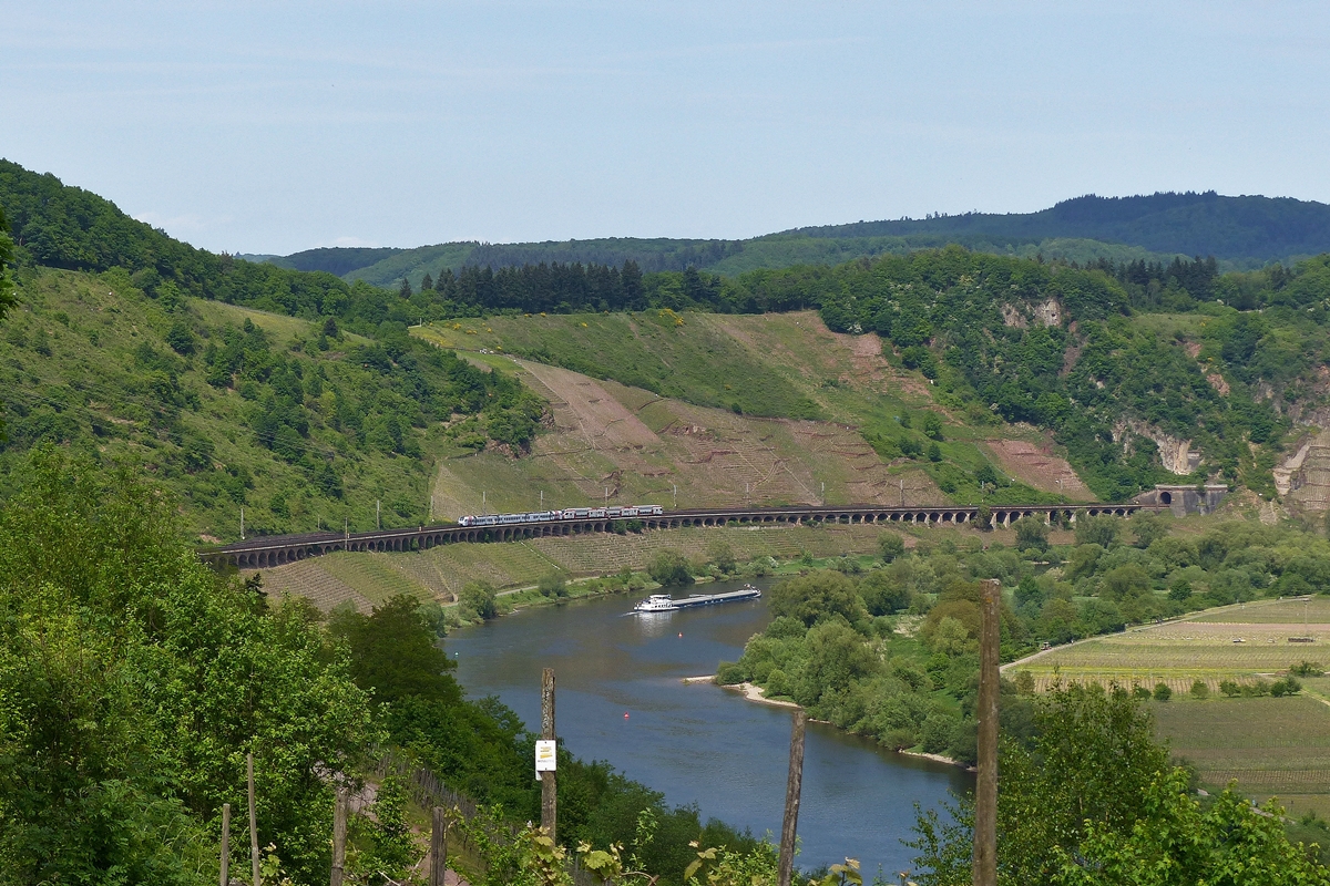 . In den Weinbergen in Reil an der Mosel hat man eine herrliche Ausssicht auf den P�ndericher Hangviadukt - Ein Schiff auf der Mosel vervollst�ndigt noch das Bild, wenn die gekuppelten DB Regio S�wex und CFL KISS den P�ndericher Hangviadukt befahren auf ihrer Reise von Koblenz nach Trier (bzw. Luxembourg). 13.05.2015 (Jeanny)