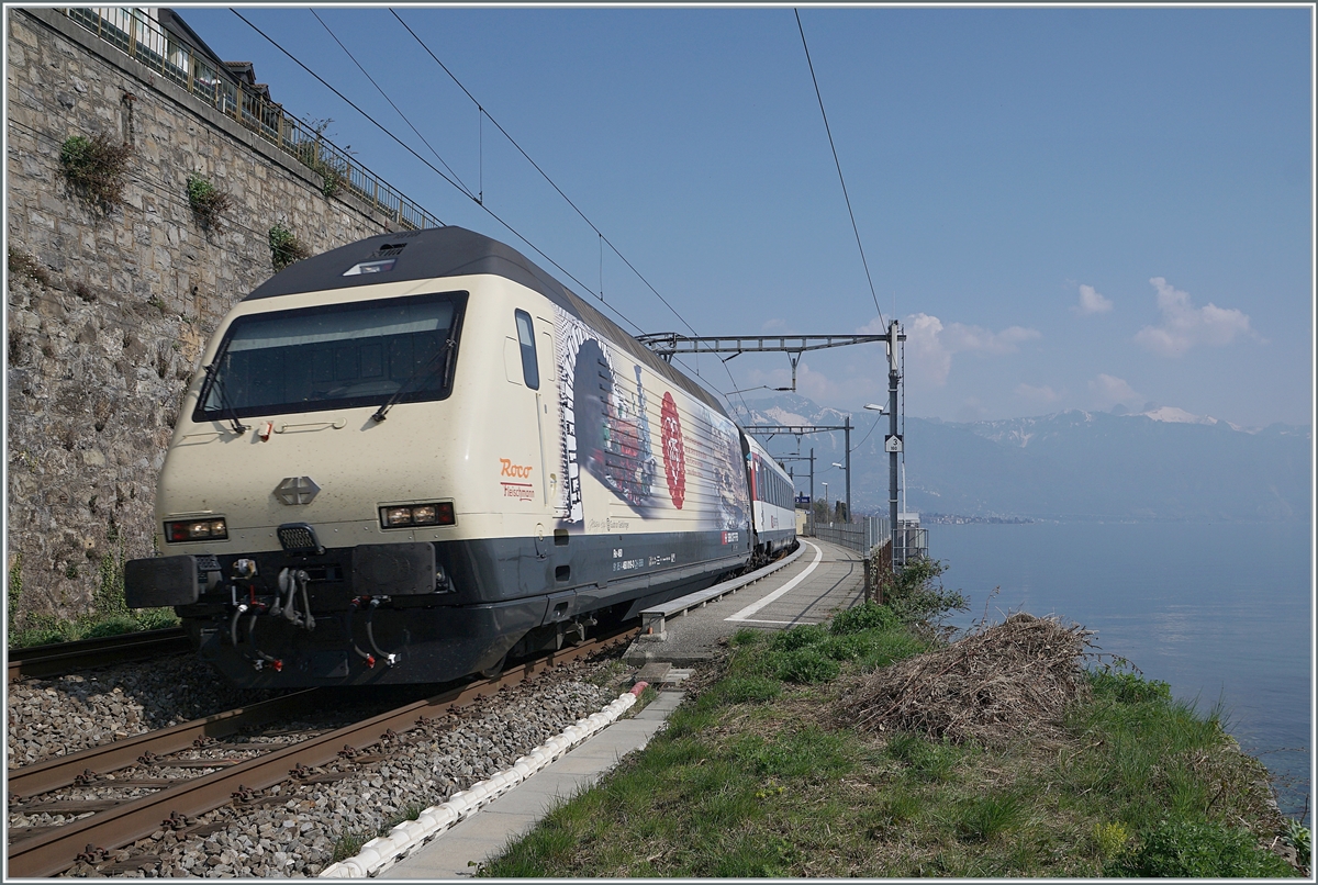 175 Jahre Schweizer Bahnen, und zum Jubiläum wurde neben einer Re 4/4 II auch diese SBB Re 460 019 mit einer Jubiläumsfolie beklebt. Die SBB Re 460 019 mit dem IR 90 1720 bei St-Saphorin. 

25. März 2022