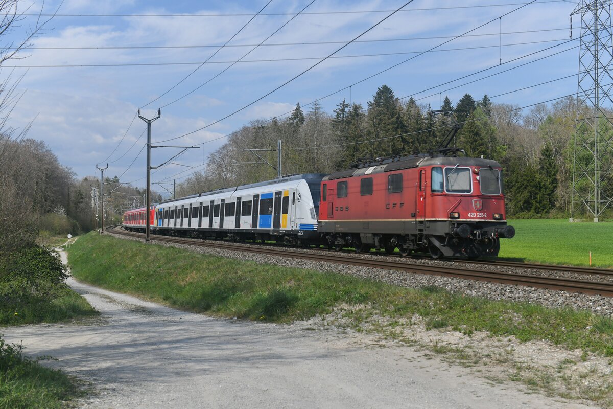 2025-04-09.SBB CFF FFS Cargo Vufflens-la-Ville
Locomotive électrique Re 420 255

© la photo vous intéresse merci de me contacter
photos-vietti-violi@ik.me