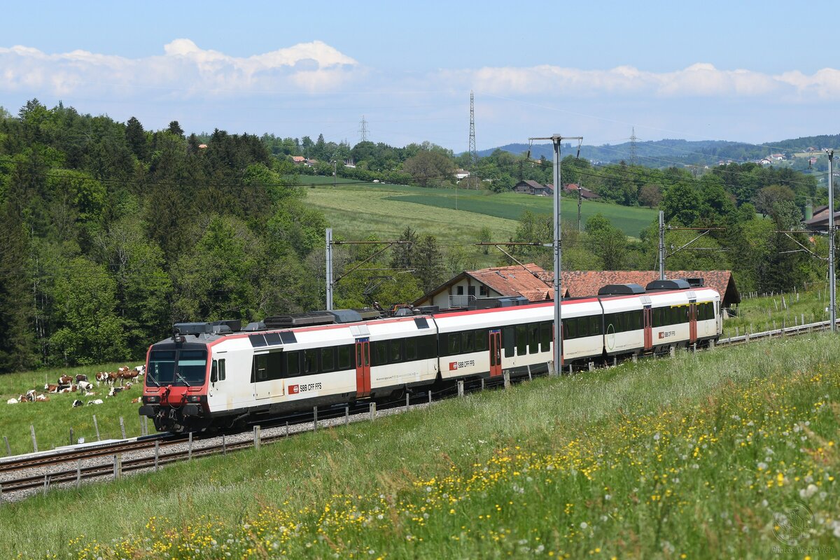 2025-05-14.SBB CFF FFS Chem la Comba Puidoux
Rame Domino RBDe 560/Domino

© la photo vous intéresse merci de me contacter
photos-vietti-violi@ik.me