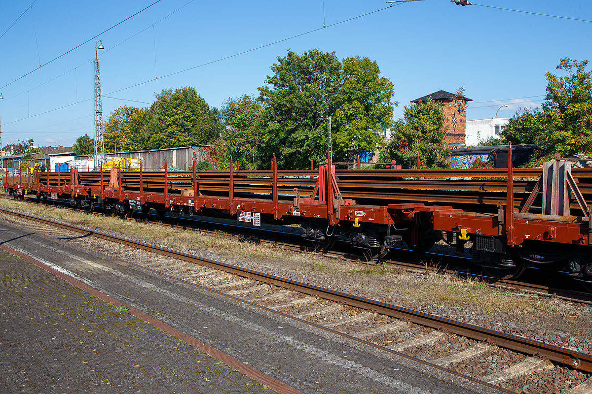 4-achsige Drehgestell-Flachwagen mit Drehrungen und Stirnwandklappen der Gattung Rgs, der Mercitalia Rail S.r.l. (gehört zur Ferrovie dello Stato Italiane), beladen mit Langschienen abgestellt am 08.10.2021im Bahnhof Bonn-Beuel, hier im Vordergrund 31 83 3557 491-5 I-MIR und dahinter am Zugschluss 31 83 3916 807-8 I-MIR. Sehr interessant ist die Tatsache in welcher Präzision und Sauberkeit noch per Hand die ganzen Anschriften an den Wagen angeschrieben worden sind.

Der vordere Wagen wurde 1976 von der FERVET S.p.a. Bergamo in Castelfranco Veneto gebaut, der hintere Wagen wurde 1981 von Cantieri Metallurgigi Italiani in Castellammare di Stabia (bei Neapel) gebaut.

TECHNISCHE DATEN: 
Spurweite: 1.435 mm (Normalspur)
Anzahl der Achsen: 4 (in 2 Drehgestellen)
Länge über Puffer:  19.900 mm
Drehzapfenabstand:  14.860 mm
Achsabstand im Drehgestell:  1.800 mm
Laufraddurchmesser: 920 mm (neu)
Länge der Ladefläche: 18.500 mm 
Fußbodenhöhe der Ladefläche: 1.170 mm
Ladefläche: 52 m²
Eigengewicht:  23.800 bzw. 24.000 kg
Max. Zuladung bei Lastgrenze S: 56,0 t (ab Streckenklasse C)
Max. Geschwindigkeit: 100 km/h (beladen) / 120 km/h leer)
Kleinster bef. Gleisbogenradius:  35 m
Bremse: Freno WU-GP (LL)
Feststellbremse: Ja / Nein
Verwendungsfähigkeit: RIV