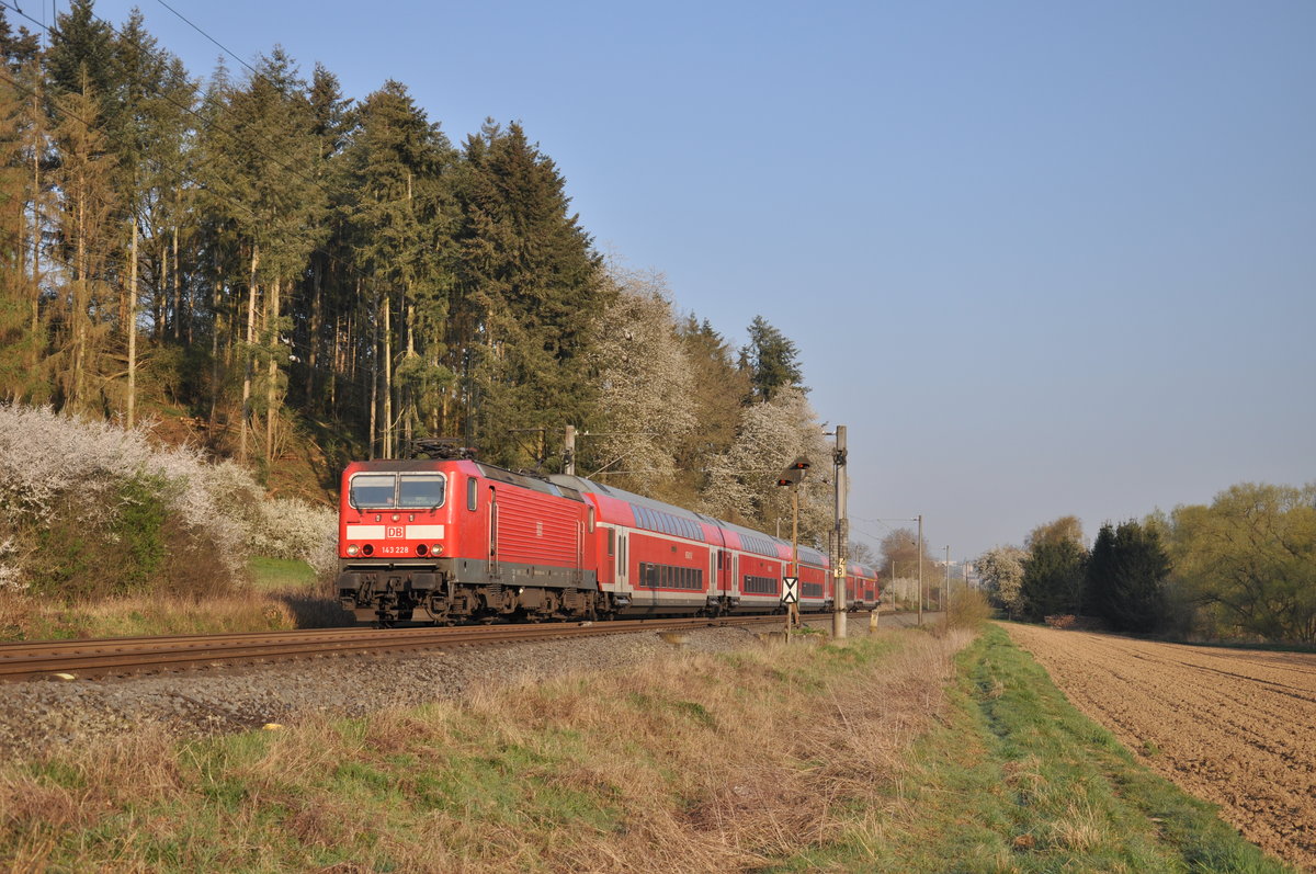Am 08.04.2020 war 143 228 mit ihrer RB22 (15257) von Limburg(Lahn) nach Frankfurt Hbf unterwegs und konnte dabei von mir im schönsten Morgenlicht in Ennerich fotografiert werden. 