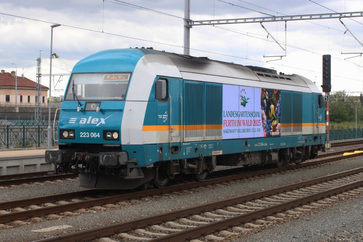 Am 30 Mai 2025 lauft Netinera/ALEX 223 064 -wirbend für der Landesgartenschau 2025- um in PLzen hl.n.