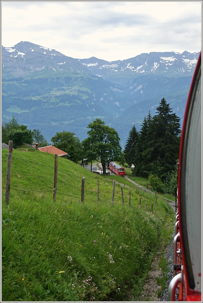 Auf der Fahrt ins Tal wartet in Planalp bereits der nächste Zug für die Fahrt auf das Brienzer Rothorn.
(08.07.2016) 