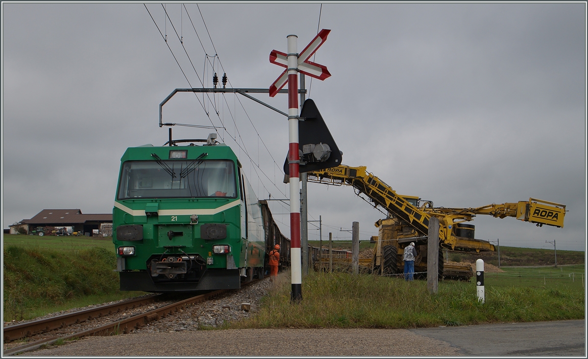 Bei Mauraz werden auf offener Strecke Züerrüben verladen.
15. Okt. 2014