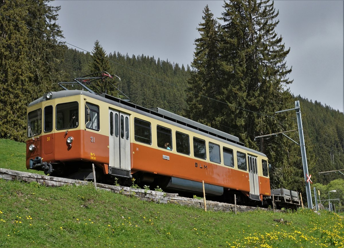 Bergbahn Lauterbrunnen-Mürren.
VOM OBERAARGAU IN DAS BERNER OBERLAND.
Be 4/4 31 LISI auf der Fahrt nach Mürren kurz nach dem Bahnhof Grütschalp am 24. Mai 2018.
Foto: Walter Ruetsch
