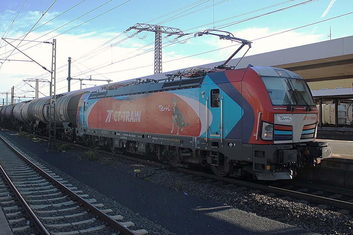 CT Train 193 442 'TERRI' steht am 23 September 2025 mit leider etwas Gegenlicht in Fulda.
