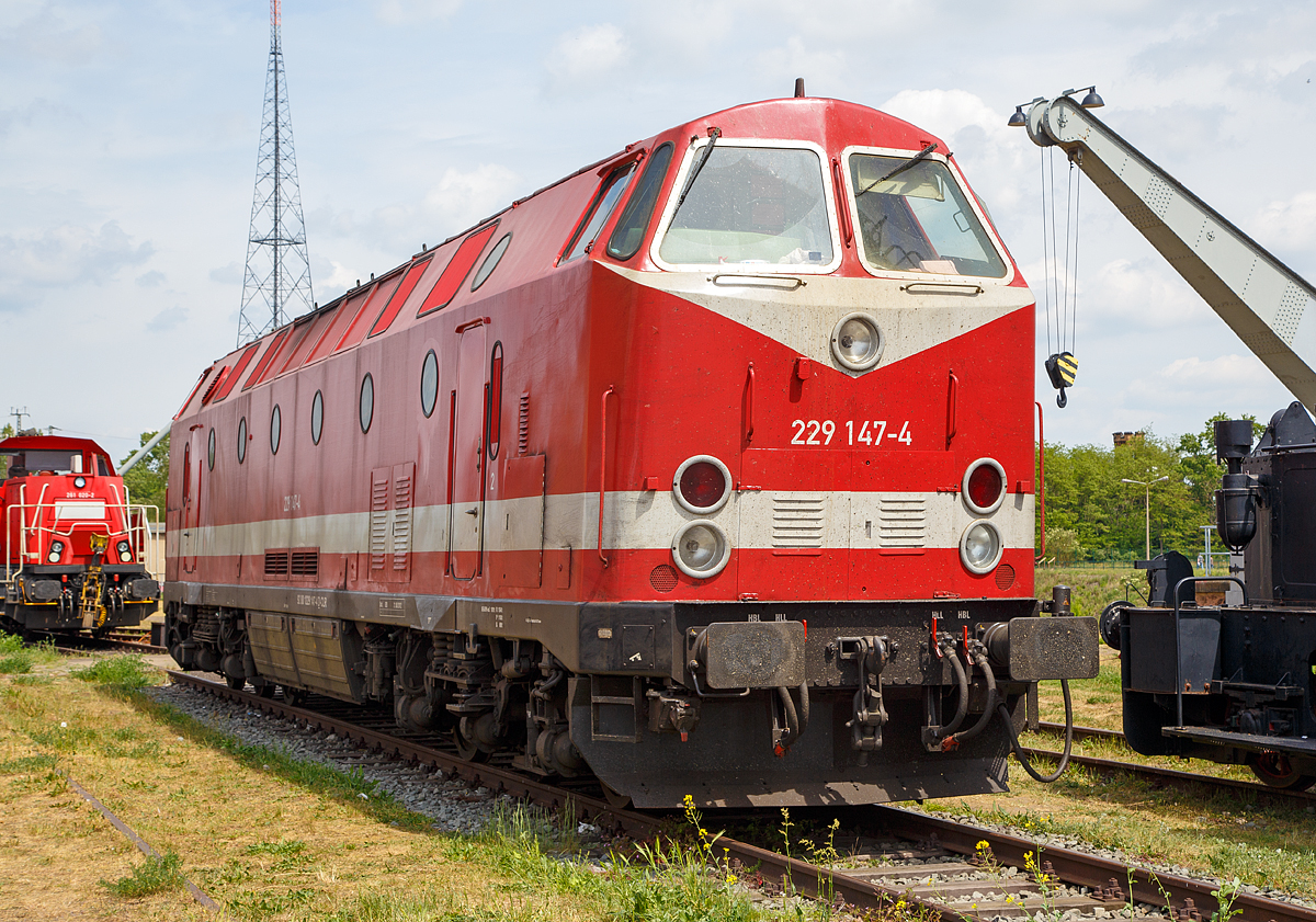 
Das  U-Boot , bzw. die 229 147-4 (92 80 1229 147-4 D-CLR) der Cargo Logistik Rail-Service GmbH (CLR), ex DB 229 147-4, ex DR 219 147-6 , ex DR 119 147-7, wurde am 21.05.2016 auf dem Familienfest der Magdeburger Eisenbahnfreunde im Wissenschaftshafen Magdeburg pr�sentiet.

Das U-Boot wurde 1983 von der Lokomotivfabrik 23. August in Bukarest /Rum�nien (heute FAUR S.A.) unter der Fabriknummer  24653 gebaut und an die Deutsche Reichsbahn als DR 119 147-7 geliefert. Bereits 1992/93 wurde sie von Krupp, unter der Fabriknummer 5660, modernisiert. 

Mit dem Zusammenschluss der beiden deutschen Bahnen gab es den Versuch, die Baureihe 219, ex DR 119,  zu modernisieren. Dabei wurde eine 20 Maschinen umfassende Fahrzeugserie bei Krupp in Essen unter Beibehaltung der Ordnungsnummer vollst�ndig umgebaut. Neben einer deutlichen Leistungssteigerung durch Verwendung anderer Motoren (MTU 12V396 TE14) wurde die zul�ssige H�chstgeschwindigkeit bei diesen Fahrzeugen auf 140 km/h heraufgesetzt, um die Loks auch im InterCity-Verkehr von und nach Berlin einsetzen zu k�nnen, da zu diesem Zeitpunkt noch L�cken im elektrifizierten Hauptbahnnetz der DR klafften. Insbesondere w�hrend der Elektrifizierung der Berliner Stadtbahn �bernahmen von der Baureihe 229 gezogene InterCitys im Bahnhof Michendorf bei Potsdam Reisende aus ICE-Z�gen, um sie �ber die Stadtbahn nach Berlin Mitte zu bringen. Die ICEs wurden bis zur Elektrifizierung der Stadtbahn �ber den Berliner Au�enring nach Lichtenberg umgeleitet.
Die Kosten der Modernisierung �bertrafen fast den Preis f�r eine Neubaulok, sodass diese nach der ersten Serie abgebrochen wurde. Die Fahrzeuge erhielten die Baureihenbezeichnung 229 und wurden in Berlin-Pankow beheimatet. Mit dem Fortschreiten der Elektrifizierung der Magistralen um Berlin, wurde die Lok am 04.04.1995 von Berlin Pankow nach Erfurt umbeheimatet, wo sie bis zu ihrer Abstellung und Ausmusterung 2001 im Dienst von DB  Regio Erfurt gestanden hat.

Da die Lokomotive noch eine Mindesteinsatzzeit von �ber 10 Jahren bis zur Abschreibung der Umbaukosten besa�, und der Bundesrechnungshof die weitere Verschrottung der Baureihen 229 vor Ablauf dieser Mindesteinsatzzeit untersagte, wurde die Lok 2002 zur Bahntochter DB Bahnbau Berlin verkauft. Dort wurde die Lokomotive ausschlie�lich vor Bau- und Arbeitsz�gen eingesetzt.

Am 21.08.2012 erhielt die Lokomotive eine neue Hauptuntersuchung, wurde aber fortan nur noch sehr selten eingesetzt. Die DB Bahnbau hatte mittlerweile gen�gend Lokomotiven der Bundesbahnbaureihenfamilie V160 erhalten, f�r die eine gesicherte Ersatzteilversorgung langfristig zur Verf�gung stand. Anfang des Jahres 2015 wurden die Lokomotiven 229 147-4, 229 181-3 und schlie�lich auch die 229 100-3  zum Verkauf ausgeschrieben.

Das Unternehmen CargoLogistikRail (CLR) aus Magdeburg hatte den Zuschlag f�r die Lokomotiven erhalten, und sie schlussendlich zur Betriebseigenen Werkstatt nach M�ser b.Magdeburg �berf�hrt, wo die 229 147-4 wie auch die 229 181-3  instandgesetzt und in die Auslieferungslackierung zur�ckversetzt wurden. Die Lokomotive steht somit fortan wieder f�r Eins�tze vor Arbeits-, G�ter- und Reisez�gen zur Verf�gung. Die 229 100-3 dient dabei als Ersatzteilspender f�r die beiden anderen 229ern.

TECHNISCHE DATEN der BR 229:
Spurweite: 1.435 mm (Normalspur)
Achsanordnung: C' C'
L�nge �ber Puffer: 19.500 mm
Treibraddurchmesser: 	1.000 mm
Motor: 2 St�ck V-12-Zylinder MTU-Dieselmotor mit Direkteinspritzung, Abgasturbolader und Ladeluftk�hlung, vom Typ 12V396 TE14
Motorleistung:  2 x 1.240 kW (1.685 PS) = 2480 kW (3370 PS)
Volllastdrehzahl: 1800 U/min 
Leerlaufdrehzahl: 600 U/min
Motorgewicht: 2 x 3.900 kg (trocken)
Getriebe: Voith Str�mungsgetriebe GSR 30/5,7 (3 Wandler)
Leistungs�bertragung: dieselhydraulisch
H�chstgeschwindigkeit: 140 km/h
kleinste Dauerfahrgeschwindigkeit: 23 km/h
Anfahrzugkraft: 276 kN 
Dauerzugkraft: 180 kN
Dienstgewicht: 103 t
elektrische Zugheizleistung: 	 800 kW 
Kraftstoffvorrat:4000 l
Sandvorrat: 320 kg
