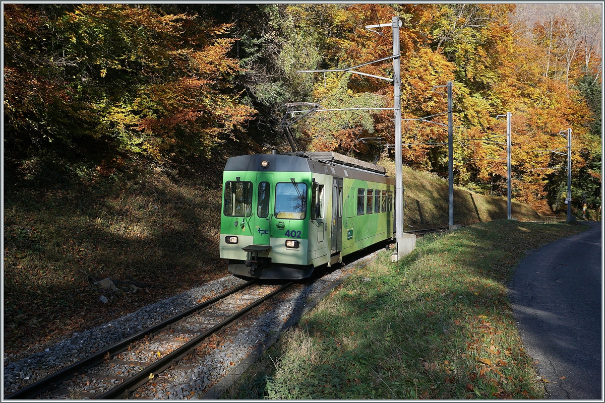 Der ASD BDe 4/4 4/4 402 der auf die Fahrt von Aigle nach Plambuit im bunten Herbstwald bei Verschiez. 

5. November 2021