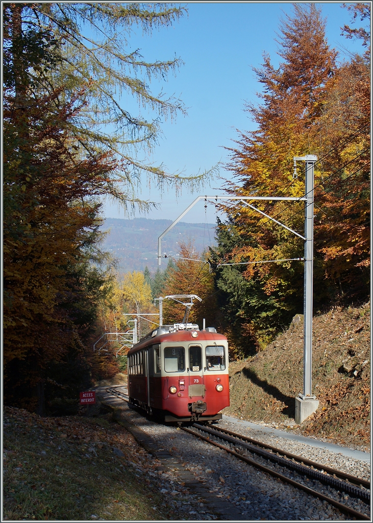 Der CEV BDeh 2/4 N° 73 kommt als Regionalzug 1379 aus dem Bois de Chexbres...
(27. Okt. 2015)