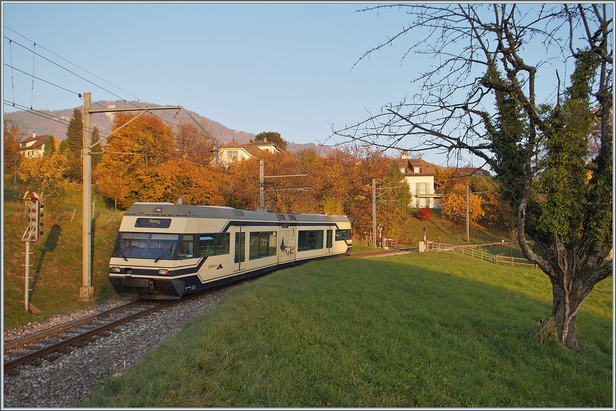 Der CEV MVR GTW Be 2/6 7004  Montreux  ist als Regionalzug auf dem Weg nach Blonay und hat gerade die Station St-L�gier Gare verlassen. 

Im Hintergrund der Les Pleiades, auf dessen Gipfel zwar die Strecke der CEV f�hrt, der CEV MVR GTW aber aufgrund des fehlenden Zahnradantriebes nicht fahren kann, so dass den vier GTW-Triebwagen nur die Adh�sion Strecke der CEV Vevey -Blonay (- Chamby) als Einsatzgebiet bleibt. Dazu kommen noch Eins�tze im Vorortverkehr ab Montreux bis Les Avants.

Da die Zahnradtriebwagen bereits ein fortgeschrittenes Alter erreicht haben. d�rfte dies wohl der Grund gewesen sein, die CEV Flotte mit ABeh 2/6 Triebz�gen zu vereinheitlichen und die noch fast neuen CEV Be 2/6 weiterzugeben, wobei der hier zu sehende Be 2/6 7004  Montreux  zur MIB bzw. in der Folge zur Zentralbahn bzw. SBB kommen sollte.

2. Nov. 2015