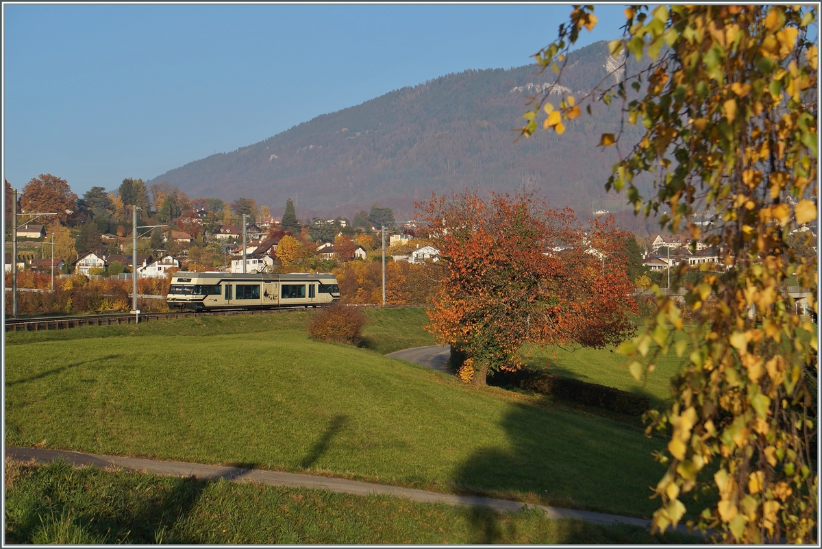 Der CEV MVR GTW Be 2/6 7004  Montreux  ist als Regionalzug auf dem Weg nach Vevey und erreicht den Halt Château d'Hauteville. Im Hintergrund rechts im Bild der Les Pleiades, auf dessen Gipfel zwar die Strecke der CEV führt, der CEV MVR GTW aber aufgrund des fehlenden Zahnradantriebes nicht fahren kann, so dass den vier GTW-Triebwagen nur die Adhäsion Strecke der CEV Vevey -Blonay (- Chamby) als Einsatzgebiet bleibt. Dazu kommen noch Einsätze im Vorortverkehr ab Montreux bis Les Avants. 
Da die Zahnradtriebwagen bereits ein fortgeschrittenes Alter erreicht haben. dürfte dies wohl der Grund gewesen sein, die CEV Flotte mit ABeh 2/6 Triebzügen zu vereinheitlichen und die noch fast neuen CEV Be 2/6 weiterzugeben, wobei der hier zu sehende Be 2/6 7004  Montreux  zur MIB bzw. in der Folge zur Zentralbahn bzw. SBB kommen sollte.

2. Nov. 2015