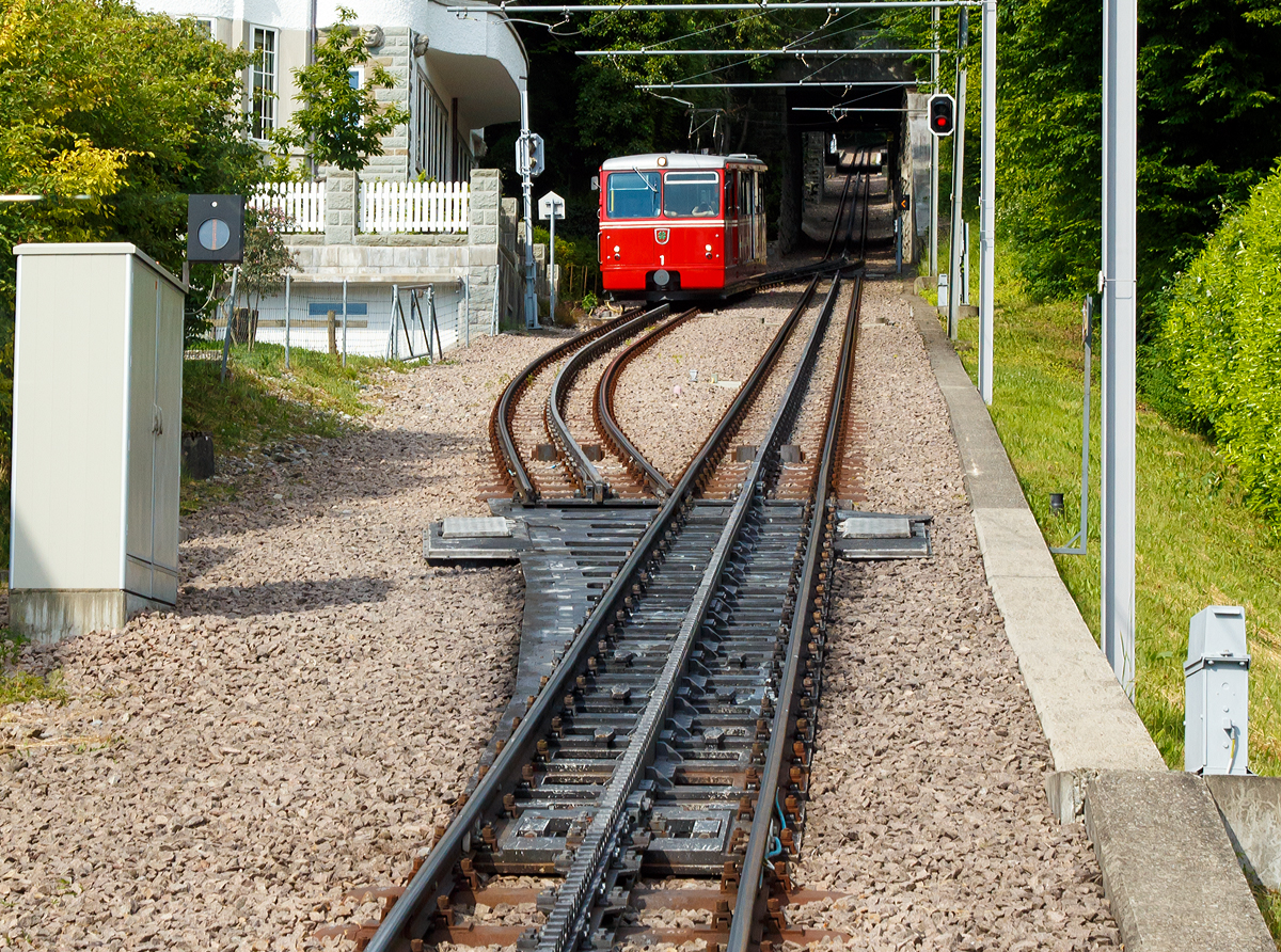 Der elektrischer Zahnradtriebwagen Bhe  1/2 Nr. 1 der Dolderbahn erreicht am 06.06.2015 die Ausweichstelle.

Im Vordergrund sieht man sehr gut die Schwenkweiche,  Schleppweiche oder auch Schiebeweichen (Federweiche) mit dem Zahnstangensystem „von Roll“. Die von der Firma Von Roll (heute Tensol) entwickelte Zahnstange ist nur dem Namen nach eine Lamellenzahnstange, nämlich eine einlamellige. Sie hat dieselbe Zahnteilung (100 mm) wie die Riggenbach'sche und die Strub'sche Zahnstange (aus welcher sie auch entwickelt wurde). Von letzterer unterscheidet sie sich nur in der Grundform, einfaches Breitflach-Profil anstatt einer Keilkopfschiene ähnliches Profil. Die von Roll Zahnstange kommt in erster Linie bei Neubauten sowie als preisgünstiger Ersatz alter Zahnstangen nach den Systemen Riggenbach oder Strub zur Anwendung. Sie ist zwar dicker (30–80 mm, je nach Zahndruck) als eine der Lamellen nach Abt, doch ihre Biegsamkeit ist ausreichend, um flexibler als die Originale nach Riggenbach oder Strub anwendbar zu sein. Sie kann auch durchgehend verschweißt werden. So sind auch diese Schwenkweichen einfach machbar.

Bei der Schiebeweiche wird ein Teilstück der gesamte Fahrbahn (ganze Gleises mit Zahnstange) verschwenkt bzw. verbogen, es gibt beim herkömmlichen Zweischienengleis keine durchlaufenden Außenschienen. Die Weichenzungen sind hier gerade und an der Weichenspitze beweglich gelagert, die Stellvorrichtung liegt am inneren Ende der Weichenzunge und verschiebt die Schienen und Zahnstange auf den geraden oder den abzweigenden Strang. Anstelle eines Herzstückes haben Schleppweichen, die von Fahrzeugen mit Spurkranzrädern befahren werden, ein drehbares Schienenstück, welches in den zu befahrenden Schienenstrang gedreht wird.

Die ersten Eisenbahnweichen waren Schleppweichen. Da sie insbesondere bei höheren Geschwindigkeiten nicht betriebssicher waren, wurden sie bei den Eisenbahnen bald durch andere Bauformen ersetzt. Ihr Einsatzgebiet sind heute meist noch Bergbahnen, die aus Sicherheitsgründen über doppelte Spurkränze verfügen oder mit Zangenbremsen ausgestattet sind. Ein bekanntes Beispiel dafür sind die Rigi-Bahnen.

Seit 1999 setzen die Rigi-Bahnen neu entwickelte, als Federweichen bezeichnete Zahnstangenweichen ein, in welchen das Gleis von der einen Endlage in die andere entlang einer definierten Kurve gebogen wird. Die Konstruktion hat weniger bewegliche Teile als eine übliche Zahnstangenweiche und benötigt keine Weichenheizung.