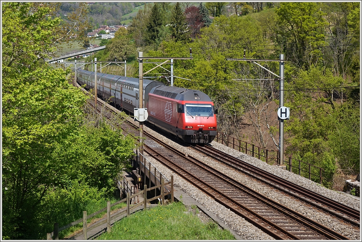 Der IC 721 unterwegs nach St.Gallen, bei Bossiére.
(23.04.2014)