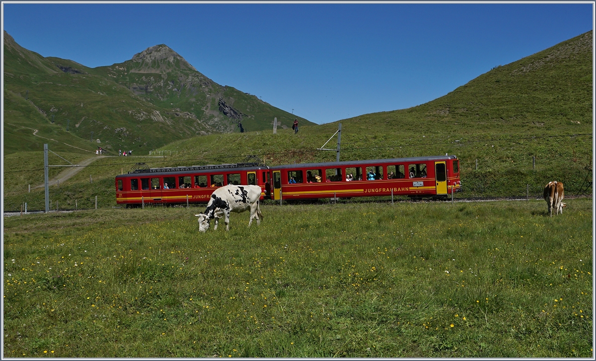 Der JB BDeh 2/4 208 mit seinem Bt fährt oberhalb der Kleinen Scheidegg Richtung Jungfraujoch.
8. Aug. 2016
