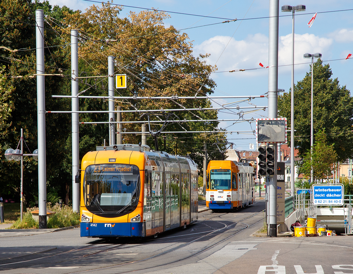Der RNV Triebwagen 4142 (ex Oberrheinische Eisenbahn - OEG 142), ein Bombardier Variobahn RNV6Z, Baujahr 2006, als Linie 23 am 30.08.2016 am Bismarkplatz in Heidelberg, dahinter der RNV Triebwagen 3256 (ex Heidelberger Straßen- und Bergbahn AG - HSB 256) ein Duewag M8C-NF, Baujahr 1985 (später Umbau mit Niederflurmittelteil).

Technische Daten RNV6Z:
Hersteller: 	Bombardier Transportation
Spurweite: 	1000 mm
Länge: 30.530 mm 
Breite: 2 400 mm
Kleinster bef. Halbmesser:  ca. 15 m
Höchstgeschwindigkeit:  80 km/h
Dauerleistung:  4 × 95 kW 
Stromsystem: 750 Volt Gleichspannung
Anzahl der Fahrmotoren: 4
Kupplungstyp: Scharfenberg
Niederfluranteil: 	ca. 70 %

Technische Daten Duewag M8C-NF:
Hersteller: 	Düwag, 
Baujahr: 1985
Spurweite: 	1.000 mm 
Achsformel:  B'2'2'B'
Länge über Puffer:  26.640 mm
Breite:  2.300 mm
Dienstgewicht: 34,7 t
Höchstgeschwindigkeit: 70 km/h
Stundenleistung:  300 kW
Stromsystem:  750 Volt =
Anzahl der Fahrmotoren:  2
