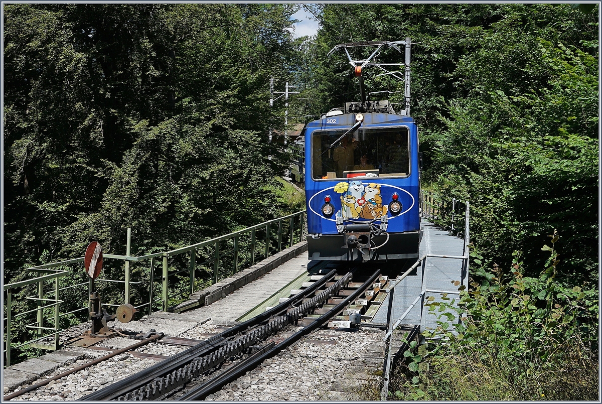 Der Rochers de Naye Bhe 4/8 302 und 304 auf der Fahrt nach Montreux ei der Ankunft in Le Tremblex.
7. August 2016