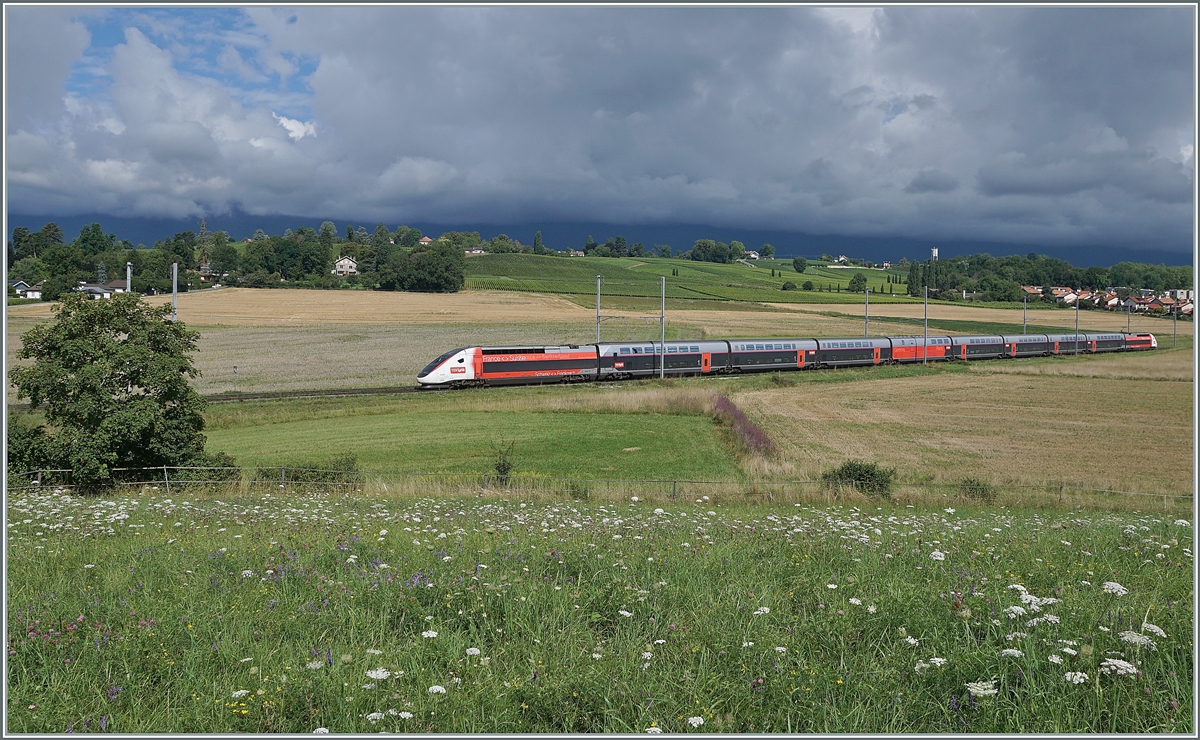 Der TGV Lyria 9768 von Lausanne nach Paris Gare de Lyon kurz nach Satigny. 

2. August 2021