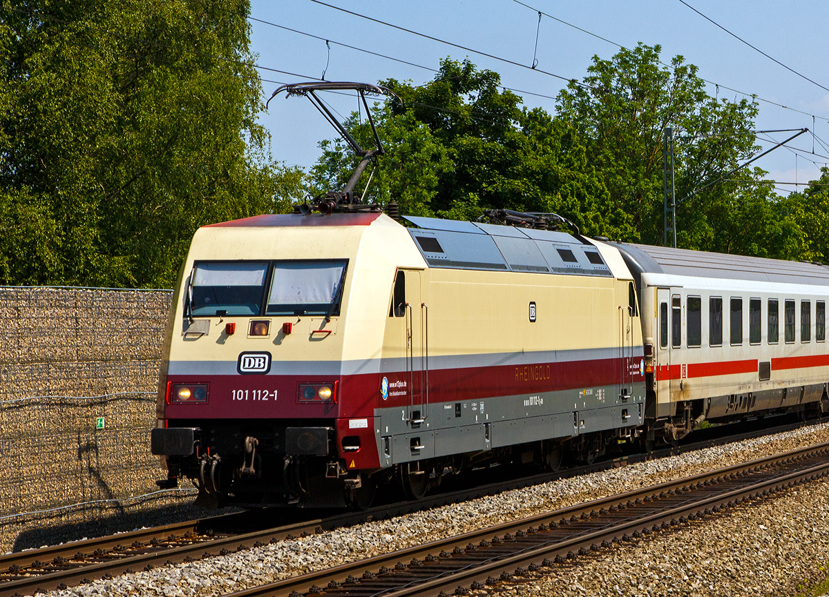 
Die 101 112-1 “RHEINGOLD”  (91 80 6101 112-1 D-DB) der DB Fernverkehr AG, mit Werbung für Händlergemeinschaft „Die wilde 13 Plus“, fährt am 05.06.2019 mit einem IC (im Sandwich mit Schublok DB 101 097-4) durch Gröbenzell in Richtung Augsburg.

Die DB 101 112-1 wurde 1998 von ABB Daimler-Benz Transportation GmbH (ADtranz) in Kassel unter der Fabriknummer 33222 gebaut. Von April 2017 bis Oktober 2018 war sie in den Rheingold Farben beige/ kobaltblau für  w13plus unterwegs und nun seit dem 24.10.2018 als „TEE Rheingold“ (Trans Europ Express)  in den TEE-Farben purpurrot/elfenbein unterwegs.
Einen historischen Bezug mit der BR 101 mit dem „TEE Rheingold“ gibt es freilich nicht.