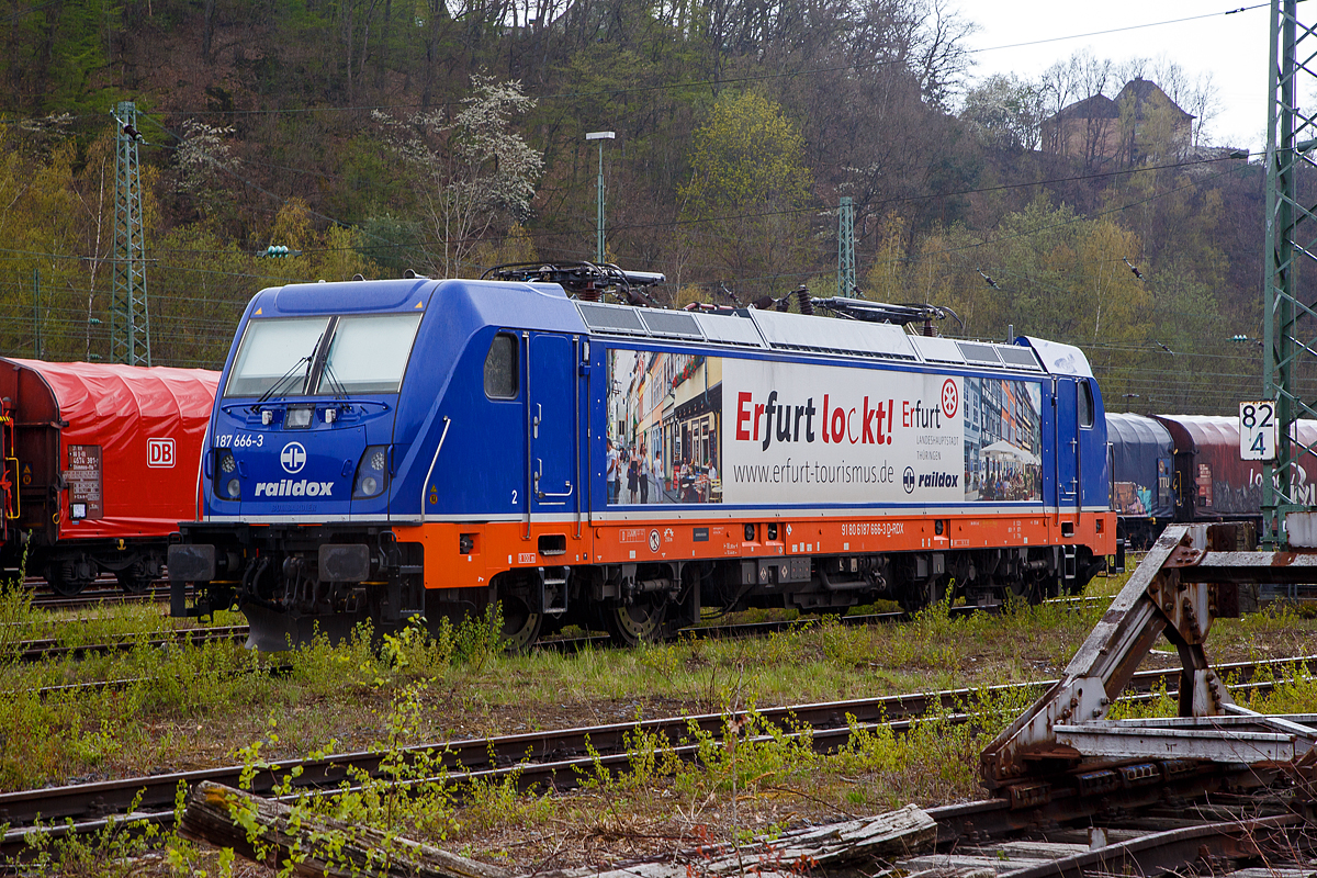 Die 187 666-3 „Erfurt lockt“ (91 80 6187 666-3 D-RDX), eine Bombardier TRAXX F140 AC3 LM der Raildox GmbH & Co. KG (Erfurt), ist am 29.04.2021 in Betzdorf (Sieg) abgestellt.

Die TRAXX F140 AC3 LM wurde 2019 von Bombardier in Kassel unter der Fabriknummer 35596 gebaut. Nach meiner Sichtung hat die Lok die Zulassung für Deutschland (D) und Österreich (A). Für Ungarn und Rumänien sind die Zulassungen noch nicht erteilt (H und RO sind durchgestrichen).
