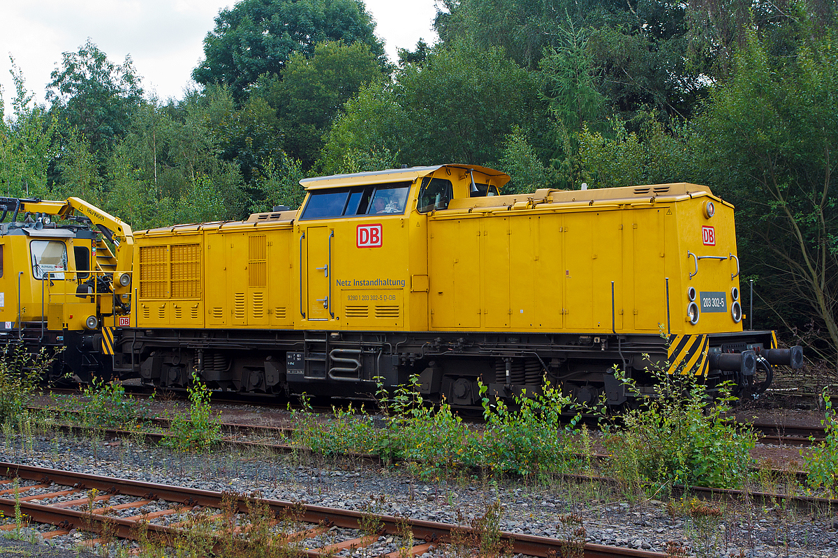 
Die 203 302-5 (92 80 1203 302-5 D-DB), ex DR 202 555-9, ex DR 112 555-8, ex DR 110 555-0 der DB Netz AG mit dem TIF 705 001-6 hat am 21.08.2014 im Bf Herdorf Hp 0.

Die V 100.1 wurde 1973 bei LEW (VEB Lokomotivbau Elektrotechnische Werke  Hans Beimler , Hennigsdorf) unter der Fabriknummer 13889 gebaut und als 110 555-0 an die DR ausgeliefert. 
1985 erfolgte der Umbau und Umzeichnung in DR 112 555-8, die Umzeichnung in DR 202 555-9 erfolgte 1992 und ab 01.01.94 dann DB 202 555-9, die Ausmusterung bei der DB erfolgte 2000 und ging dann an SFZ - Schienenfahrzeugzentrum Stendal (heute ALS - ALSTOM Lokomotiven Service GmbH, Stendal), hier erhielt sie einen neuen CAT-Motor und wurde entsprechend in 203 302-5 umbezeichnet. Im Jahr 2002 ging sie dann an die DB Bahnbau und 2004 an die DB Netz AG. 
Seit 2007 hat sie die NVR-Nummer 92 80 1203 302-5 D-DB und die EBA-Nummer EBA 01C23K 302.

Technische Daten:
Spurweite: 1.435 mm (Normalspur)
Achsanordnung: B'B'
Höchstgeschwindigkeit: 100 km/h
Kleinste Dauerfahrgeschwindigkeit: 18 km/h
Dienstgewicht: 69 t
Länge über Puffer: 14.240 mm
Radsatzabstand im Drehgestell: 2.300 mm
Drehzapfenabstand: 7.000 mm
Kleinster befahrbarer Gleisbogenradius: 100 m

Motortyp: Caterpillar 3512 B DI-TA
Motorart: 12-Zylinder-Dieselmotor mit Direkteinspritzung, Abgasturbolader und Ladeluftkühlung
Motorleitung: 1.305 kW (1.775 PS) bei 1.600 U/min
Hubraum: 51,8 l (Bohrung-Ø 170 x Hub 190 mm)
Motorgewicht: 6.537 kg
Getriebe: Voith Strömungsgetriebe GSR 30/5,7