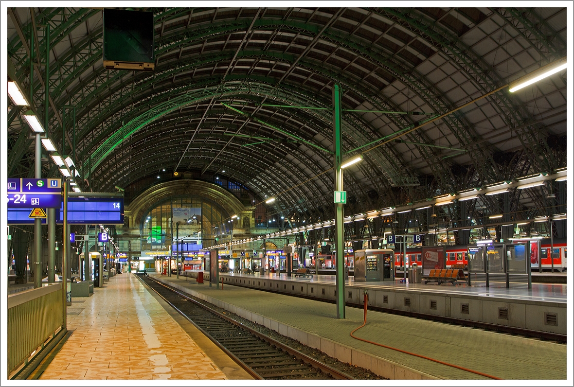 Die Bahnhofhalle vom Hauptbahnhof Frankfurt am Main am 28.12.2013 (1:28 Uhr), Blick vom Bahnsteig 14 in Richtung der Bahnsteiganfänge (Kopf). 

Von 2002 bis 2006 wurden die unter Denkmalschutz stehenden Dächer der fünf Bahnsteighallen im laufenden Betrieb unter Berücksichtigung denkmalpflegerischer Aspekte komplett erneuert. Insgesamt wurden etwa 60.000 m² Dach- und Wandverkleidung, davon etwa 30.000 m² Glasfläche, erneuert und 5000 Tonnen Stahl ausgetauscht. 
Insgesamt wurden 117 Millionen Euro in die Dachsanierung investiert. Die Kosten wurden zu 80 Prozent durch den Bund getragen.
