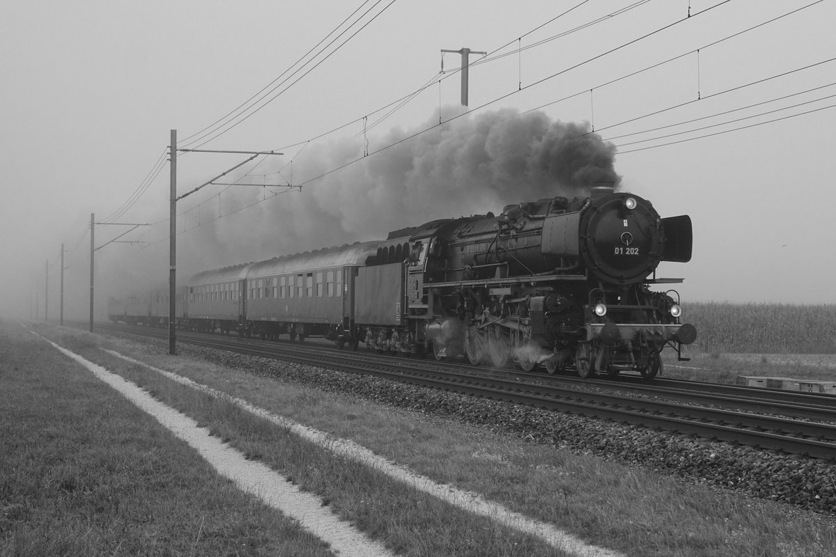 Die Dampflok Pacific 01 202 auf der Fahrt nach Schaffhausen am Morgen des 15. August 2020 im dichten Nebel bei Deitingen.
Foto: Walter Ruetsch