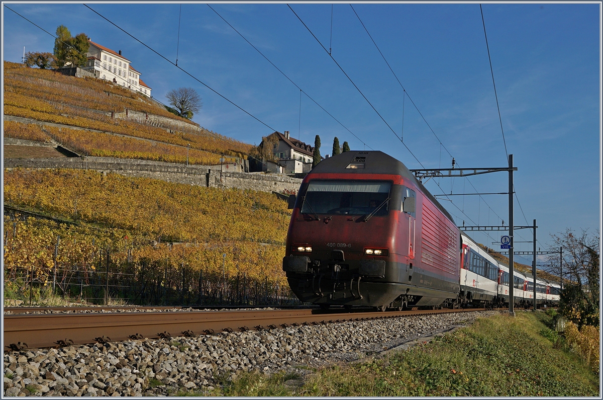 Die fast  weinrote  SBB Re 460 089-6 mit einem IR kurz vor Lutry.
3. Nov. 2017