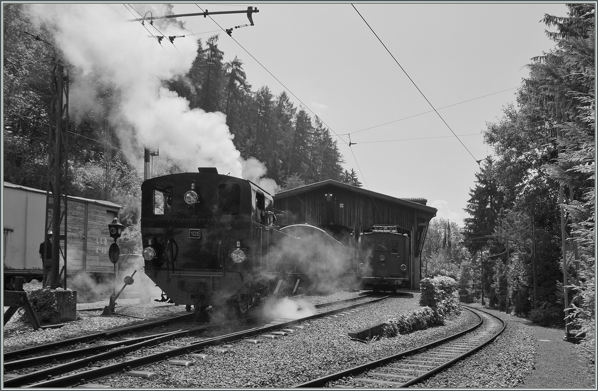 Die G 2x 2/2 105 dampft in Chaulin im Gegenlicht.
1. August 2014