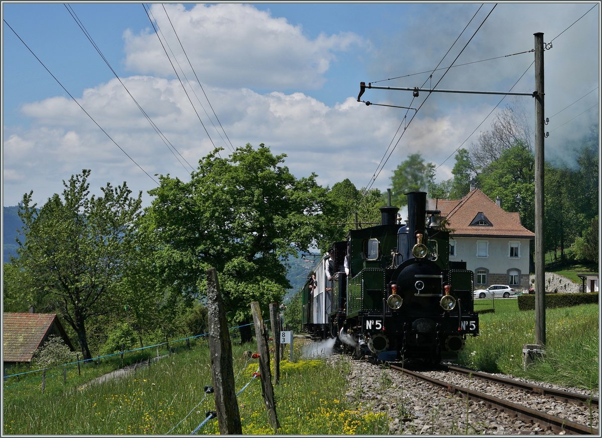 Die LEB G 3/3 N° 5 und die BAM G 3/3 6 erreichen mit einem vollen Zug Chaulin.
15. Mai 2016