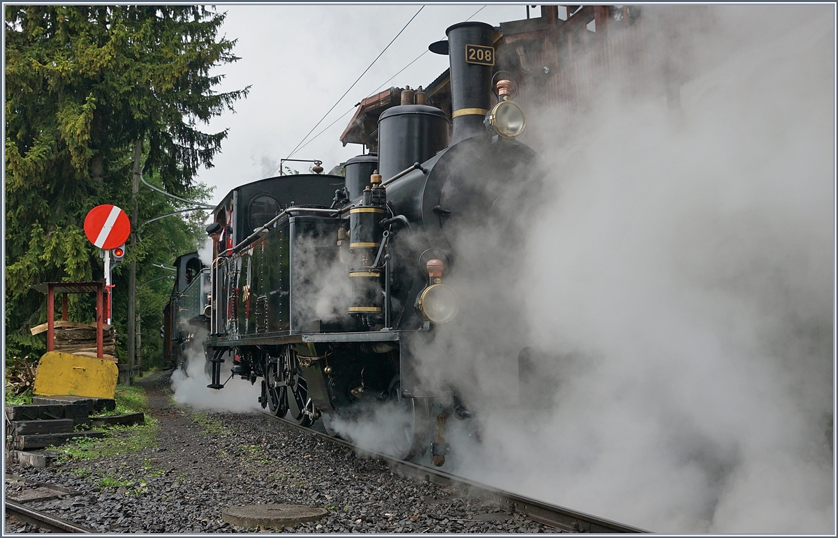 Die SBB Br�nigbahn Tallok G 3/4 208 (1913) dampft bei Chaulin Richtung Museum. 
10. Mai 2018