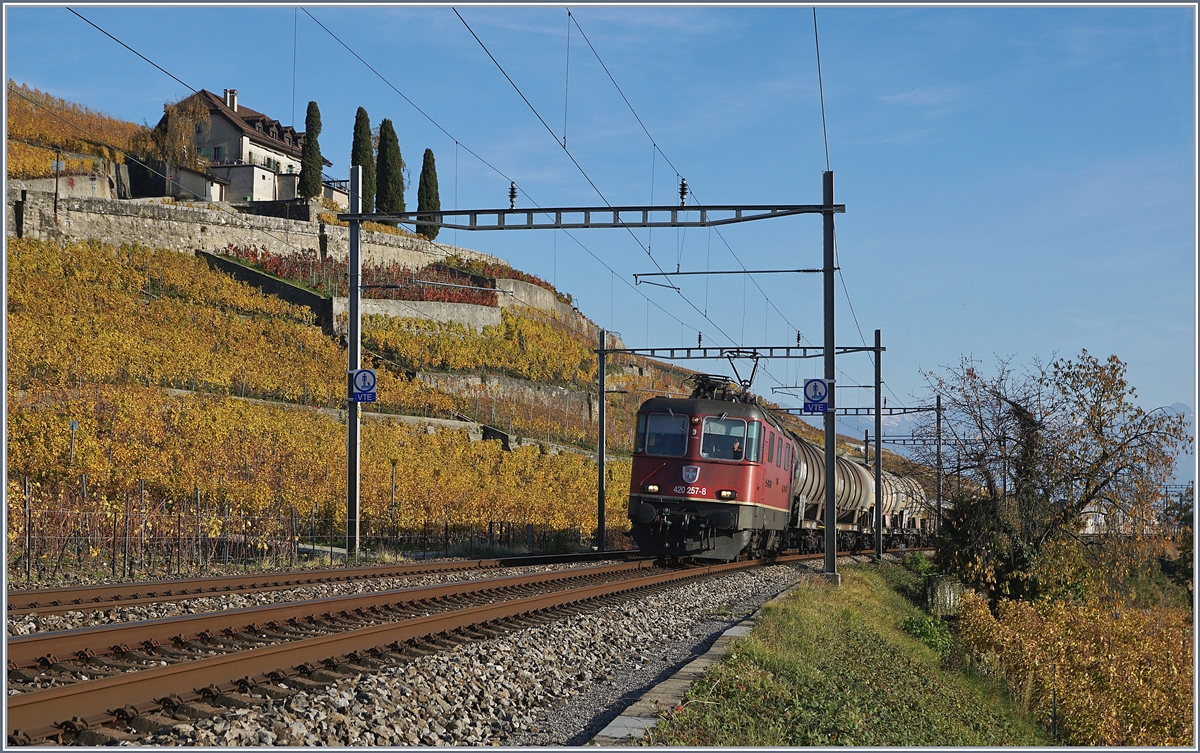 Die SBB Re 420 257-8 mit einem Kesselwagenzug kurz vor Lutry.
3. Nov. 2017